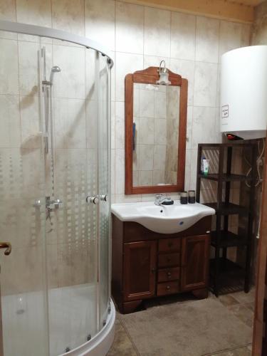 a bathroom with a sink and a shower and a mirror at Cabana Dan in Şugag