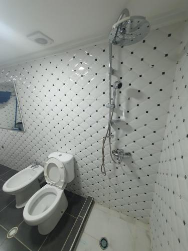 łazienka z toaletą i prysznicem w obiekcie RIVA Guest House w Gjirokastrze