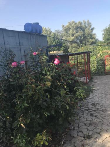 a garden with pink flowers and a fence at The Garden in Myrhorod