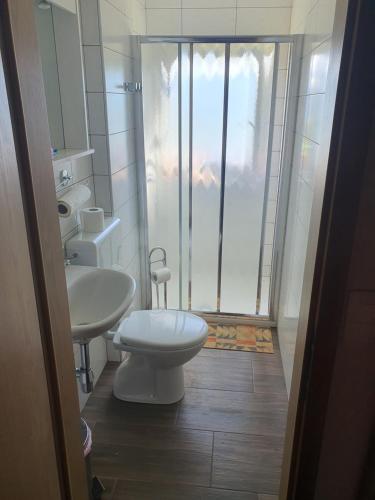 Kamna GoricaにあるKoča Goška ravanのバスルーム(トイレ、洗面台、シャワー付)