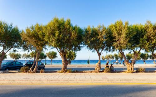 a row of trees on a sidewalk next to the beach at CHAMBRE BLEUE in Ialyssos