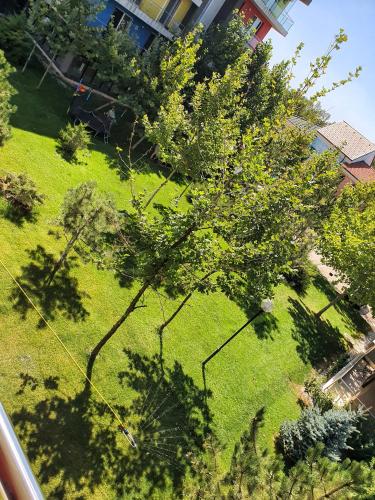 an overhead view of a green yard with trees at Portobella Airport Aparthotel - Self Check in in Otopeni