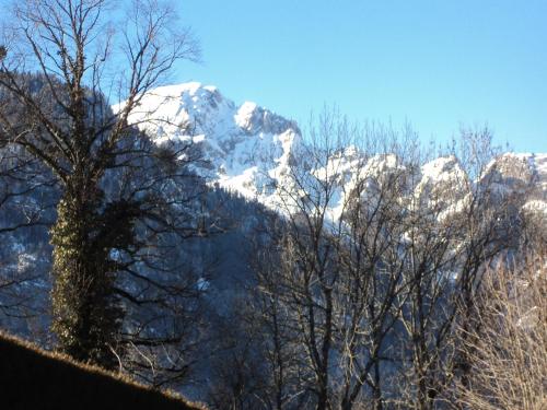 Les Tilleuls – Photos 5