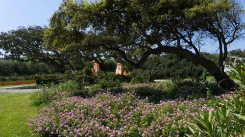 Welcomely - Casa Ginestra – Photos 3