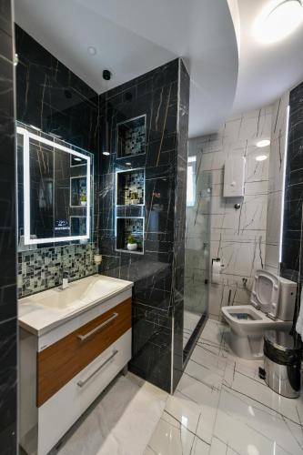 a bathroom with a sink and a toilet at Bane Apartmani 2 in Kraljevo