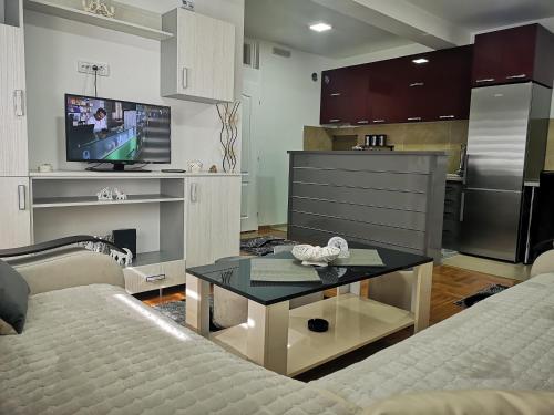 Kuchyň nebo kuchyňský kout v ubytování Apartman Novak Zlatar