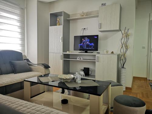 TV a/nebo společenská místnost v ubytování Apartman Novak Zlatar