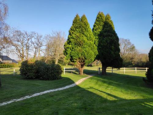 two trees in a field with a fence at Demeure du Haut Canteloup in Honfleur