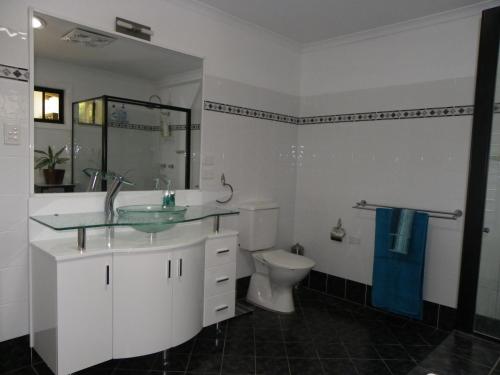 a bathroom with a sink and a toilet at Werekataba in Mount Hutton