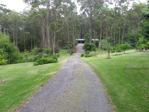 a gravel road through a park with trees at Werekataba in Mount Hutton