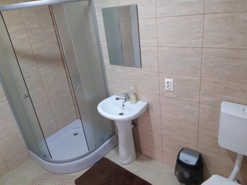 y baño con lavabo y ducha. en Pensiunea agroturistica Casa Sirca en Boghiş