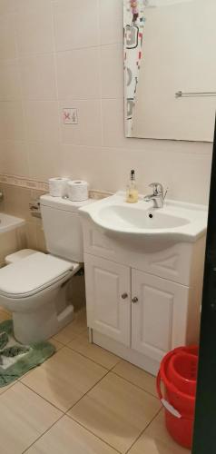 a bathroom with a sink and a toilet and a mirror at Hermes complex1 paralimni in Paralimni