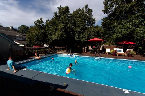 a group of people swimming in a swimming pool at Blacksburg Bed & Breakfast in Blacksburg