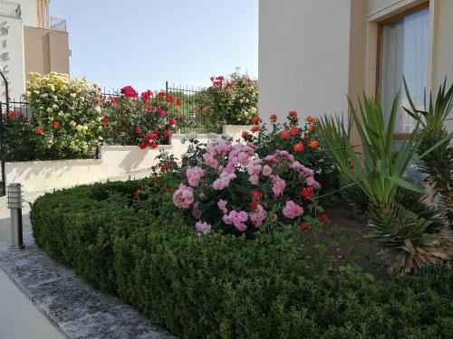 a garden of flowers in front of a building at Wonderful family villa with sea view in Byala