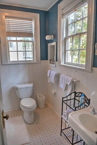 a bathroom with a toilet and a sink at Open Gates Bed & Breakfast in Darien