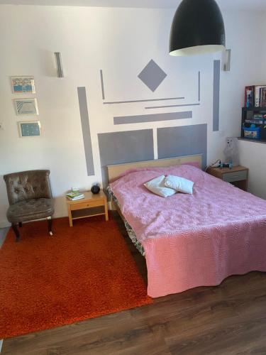 - une chambre avec un lit rose et une chaise dans l'établissement SPACIEUX T2 COSY SAINT-BRIEUC, à Saint-Brieuc