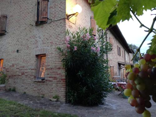 a brick building with a large bush in front of it at B&B I Canonici in Urbino