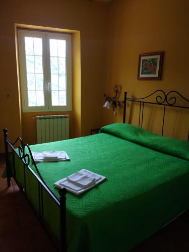 a green bed in a room with a window at Appartamento Oleandro in Montale