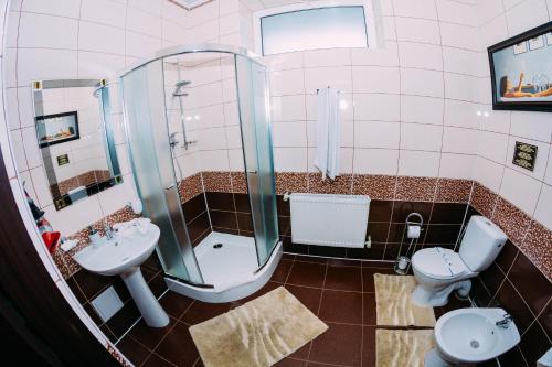 a bathroom with a shower and a toilet and a sink at Delta Hotel in Vylkove