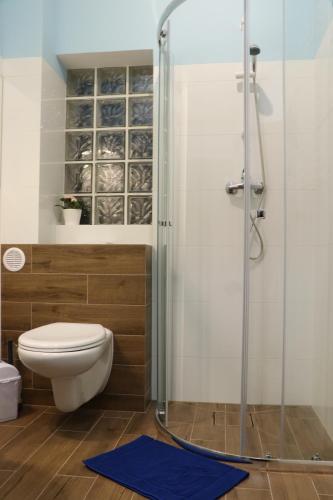a bathroom with a toilet and a glass shower at Willa Lazur in Ustka