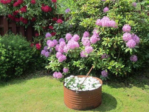 a flower pot in front of a bush of flowers at Hotel Lilton in Ängelholm