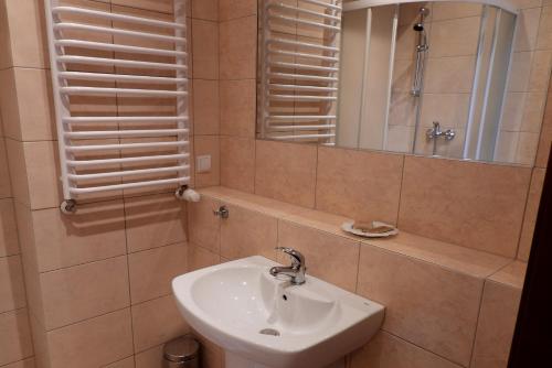 a bathroom with a sink and a mirror at Pokoje Gościnne Pałac w Balicach Instytut Zootechniki PIB in Balice