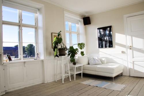 コペンハーゲンにあるApartmentInCopenhagen Apartment 331の白いソファと植物のあるリビングルーム