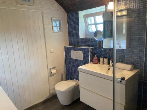 a bathroom with a toilet and a sink and a mirror at Urlaubsmühle Fortuna St. Peter-Ording in Borsthusen