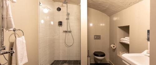 a bathroom with a shower, toilet, and sink at Hotel Beijers in Utrecht