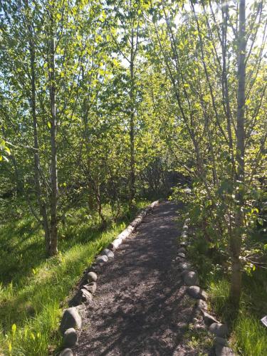 a path in the woods with trees and grass at Bakkakot 2 - Cozy Cabins in the Woods in Akureyri