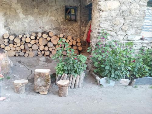 Ein Garten an der Unterkunft Stone House marexi