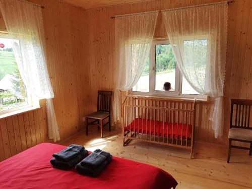 a bedroom with a red bed and a window at Омріяні Карпати in Smozhe