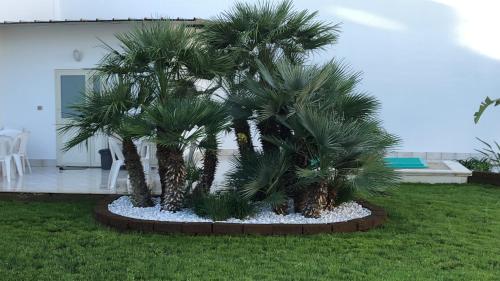 B&B RESORT SIGNORILE photo 25