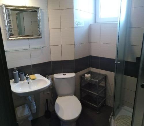 a small bathroom with a toilet and a sink at POKOJE SUMIK in Dziwnów