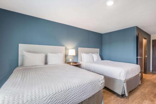 two beds in a room with blue walls at WoodSpring Suites Chicago Midway in Burbank