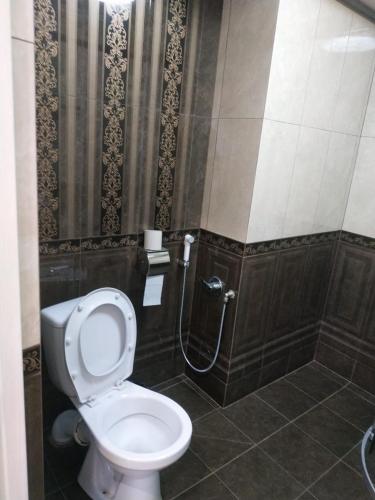 a bathroom with a toilet and a shower at Shaarei Zion in Umanʼ