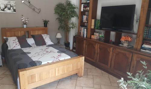 1 dormitorio con 1 cama y TV de pantalla plana en Chambre L'Orchidée en Vallon-Pont-dʼArc