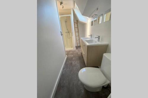 a bathroom with a toilet and a sink at Appartement lumineux Cancale, 80m2, 3 chambres. in Cancale