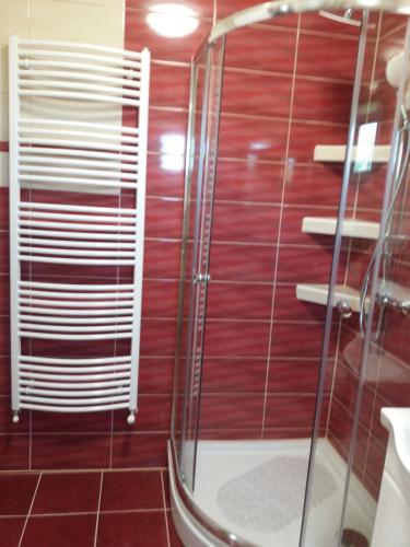 a shower with a glass door in a bathroom at Ezüstfenyő Vendégház in Sárospatak