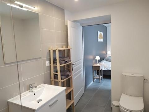 ein Badezimmer mit einem Waschbecken, einem WC und einem Spiegel in der Unterkunft Studio Les chambres de la source - Tadorne in Sancourt