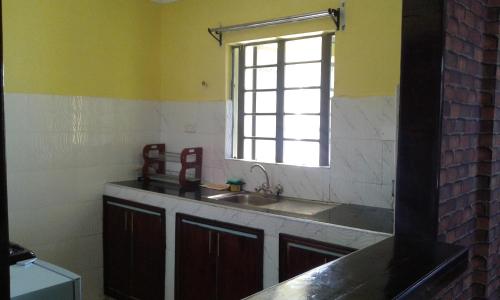 a kitchen with a sink and a window at Hilda Blooms in Kisumu
