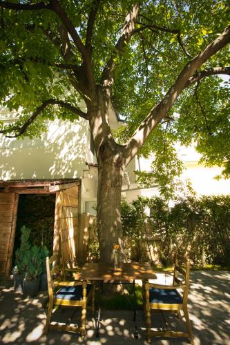 a wooden table and chairs under a tree at Grand Boutique Hotel in Pristina