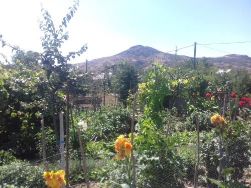 a garden with a mountain in the background at PENSIUNEA AGROTURISTICĂ ANGHELIKI in Tulcea