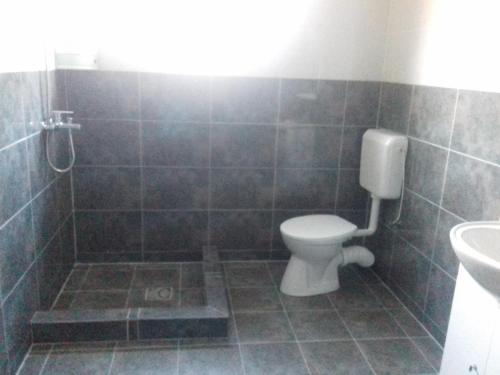 uma casa de banho com um WC e um lavatório em PENSIUNEA AGROTURISTICĂ ANGHELIKI em Tulcea