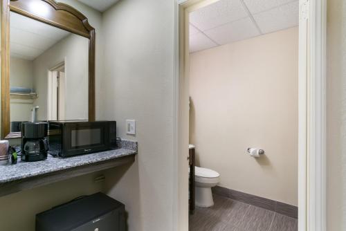 a bathroom with a toilet and a television on a counter at Eisenhower Hotel and Conference Center in Gettysburg