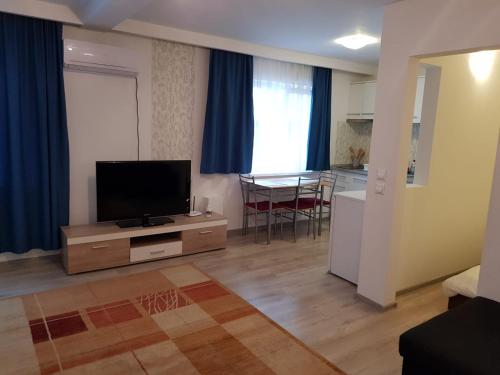 Μια τηλεόραση ή/και κέντρο ψυχαγωγίας στο Apartament 4 Central