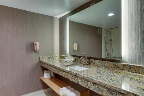 a bathroom with a sink and a large mirror at Holiday Inn Express Aberdeen-Chesapeake House, an IHG Hotel in Aberdeen