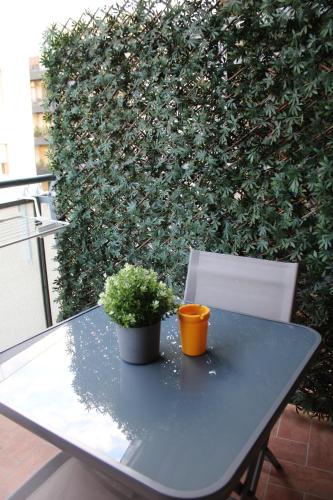 a table with two plants on it next to a hedge at B&B D'Amari Affittacamere in Palermo