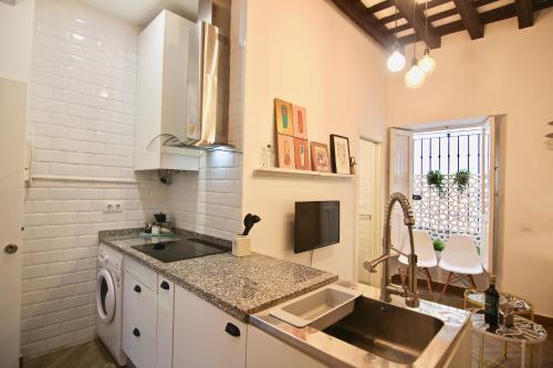 una cucina con lavandino e lavastoviglie di Apartamento Oh Cádiz a Cadice