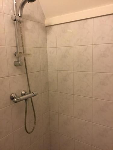 La salle de bains est pourvue d'une douche avec un pommeau de douche. dans l'établissement Tuinzicht, à Vorden